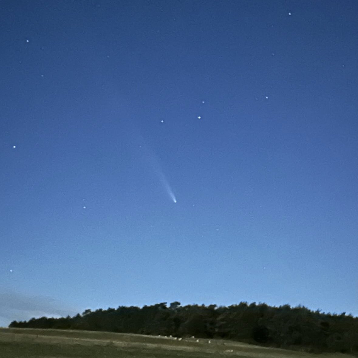 Ein seltener Gast über dem Brehberg und Weyer