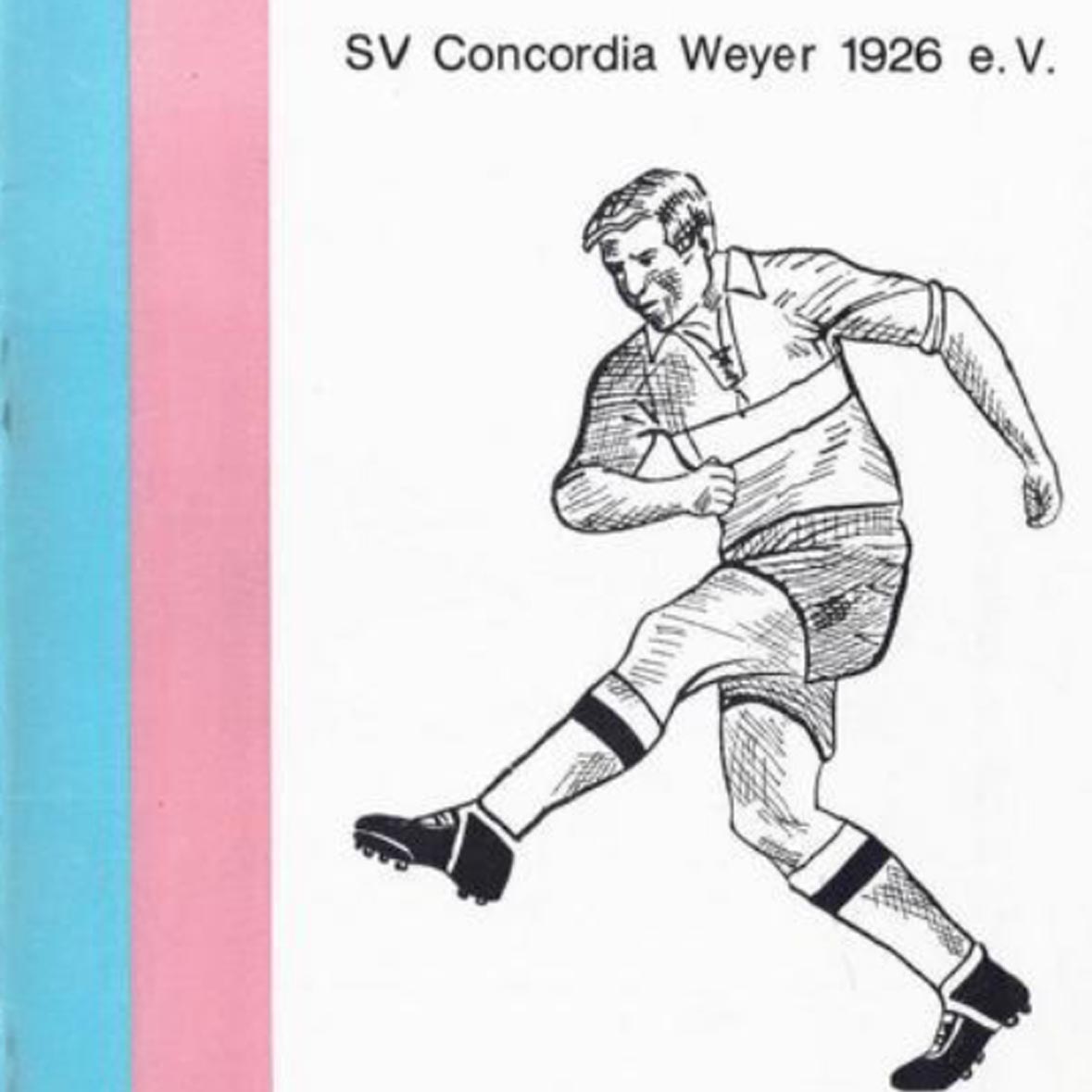 Chroniken des Sportvereins 