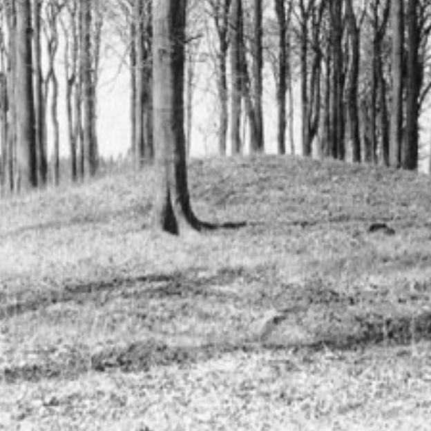 Hügelgräber in der Gemarkung