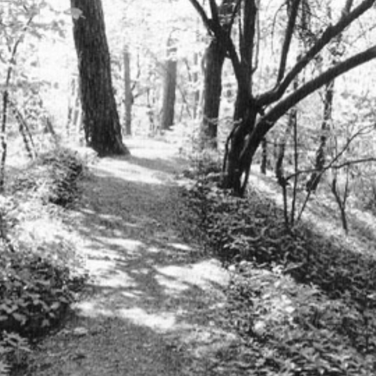 Spuren keltischer Religion und Mythologie bei Weyer 