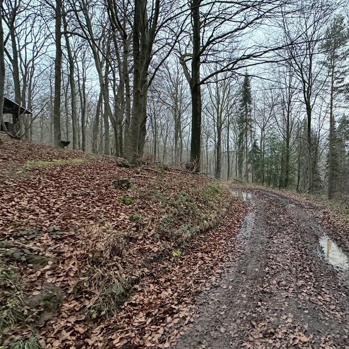 Alle Wirtschaftswege werden erfasst