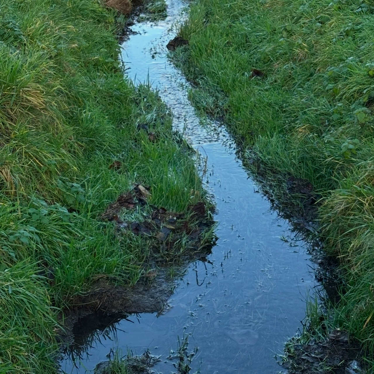 Fließt die Olef durch Weyer?