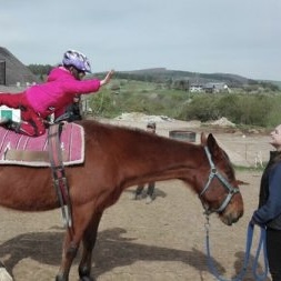 Kinder-Reitkurse in den Sommerferien