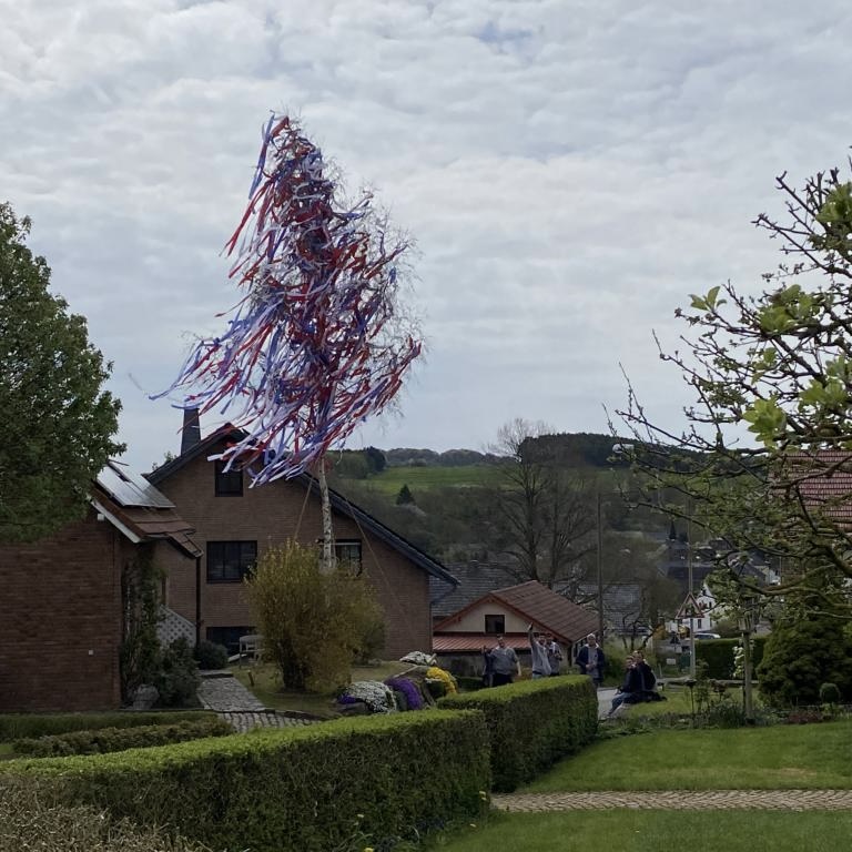 Maibäume schmücken das Dorf.