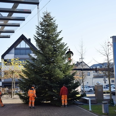 Weihnachtsbaum-Mission in Weyer